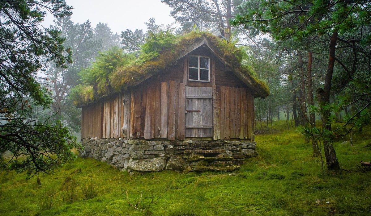 A Beginner's Guide to Shed Foundations